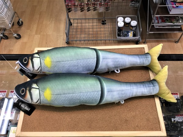 2020220151238.JPG